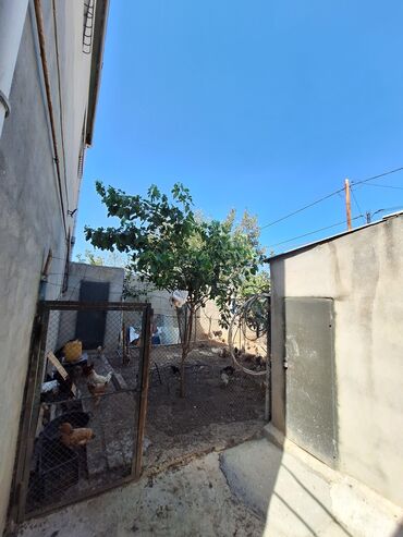 Həyət evləri və villaların satışı: 4 otaqlı, 1 kv. m, Yeni təmirli — 5