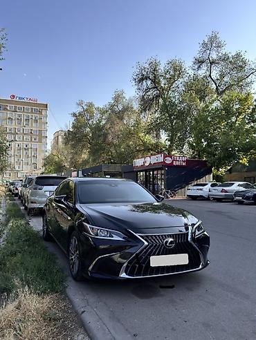 lexus es 300 2017: Lexus ES: 2019 г., Автомат, Седан — 6