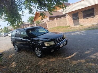 авто за 50000 сом: Subaru Forester: 2003 г., 2 л, Автомат, Бензин, Кроссовер