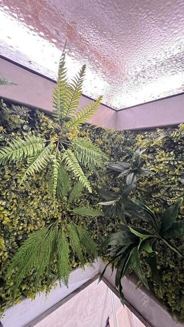 Digər ev dekoru: Kv 25 azn baslayan yasil dekorlar
Her olcude hazrlanr 
Depodan satis — 7