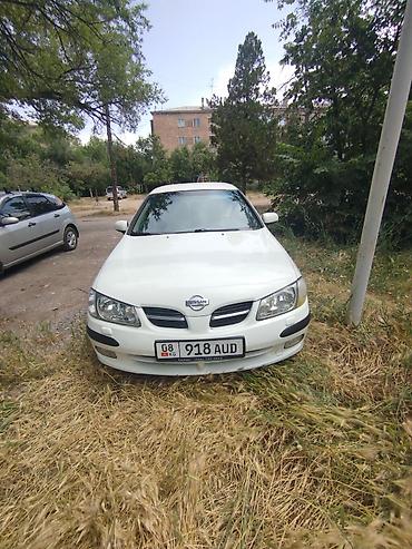 dodge charger: Nissan Almera: 2001 г., 1.8 л, Автомат, Бензин, Седан — 3