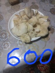 гранатовый соус бишкек: Грибы Грузди, В розницу, Платная доставка