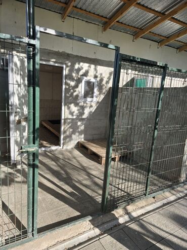 Другие услуги: Зоостиница Гостиница для собак Платная передержка Вам срочно — 3