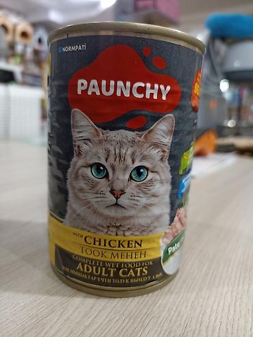 сухое молоко для котенка: PAUNCHY влажный корм для взрослых кошек, паштет с курицей. - — 1