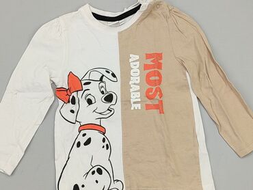 lidl kombinezon zimowy chłopięcy: Bluza, Disney, 2-3 lat, 92-98 cm, stan - Bardzo dobry