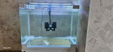 akvarium sifarisi: Dördbucaq akvarium, 75 l
