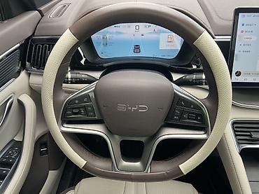 smart plus: BYD Song Plus: 2025 г. — 9