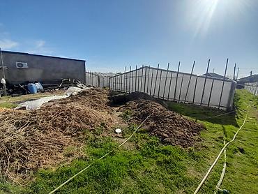 Torpaq sahələrinin satışı: Kənd təsərrüfatı — 12