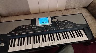 ses yazan proqram: KORG Pa800aranjor sintezator - 61 klavişli, toxunuşa həssas — 1