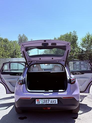 Geely: Geely Geome Xingyuan: 2026 г., Автомат, Электромобиль, Хэтчбэк — 4
