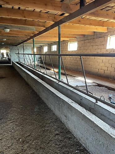 Дома: Продаётся жилой дом с земельным участком 23 сотки Село Ленинское, ул — 6