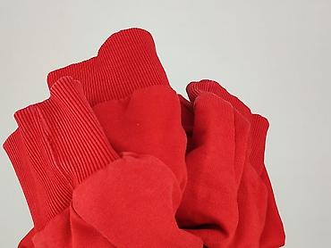 esmara sweatshirt: Calvin Klein Jeans, Bluza damska
, rozmiar XL — 7