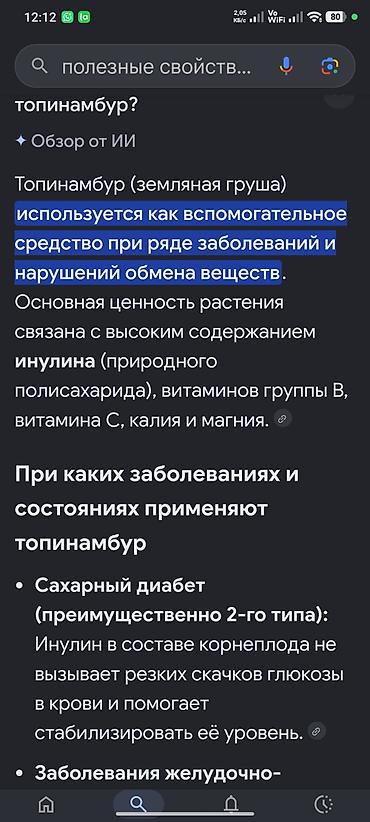актриса картошка: Топинамбур (земляная груша), свежий урожай.Оптом 10 кг. Нижняя — 10
