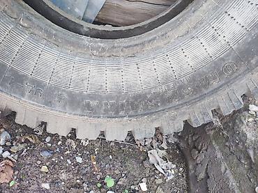 470 жх: Шиналар R 20, Колдонулган, Жүк ташуучу унаалар/Автобустар, Орусия — 2
