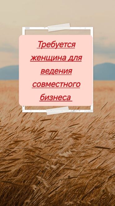 я ищу работу официант: Требуется женщина, для ведения совместного бизнеса (в