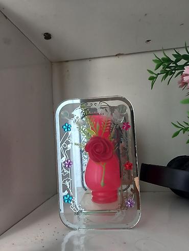 Çöl bitkiləri: Pelargonium (qızılqol) saksı gülləri və sukkulent - Növ: Pelargonium — 6