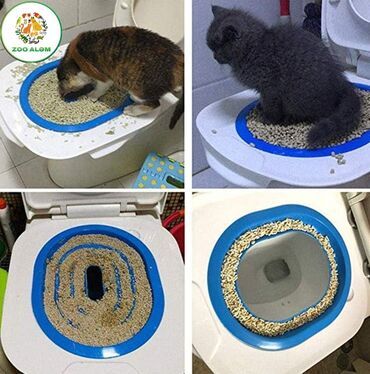 Bio-tualetlər və doldurucular: Pişiklər üçün tualet tərbiyəsi. Bu məhsulumuzla artıq sevimli — 5