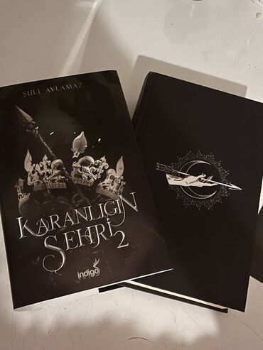 познание мира 2 класс мсо 1: Şule Avlamaz tərəfindən yazılmış "Karanlığın Şehri 2" kitabının bu