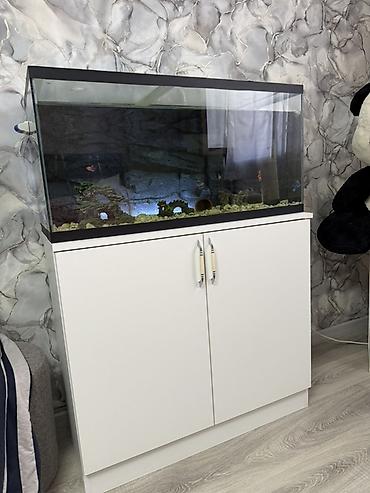 akvarium işığı: Dördbucaq akvarium, Boş, 150 l — 1