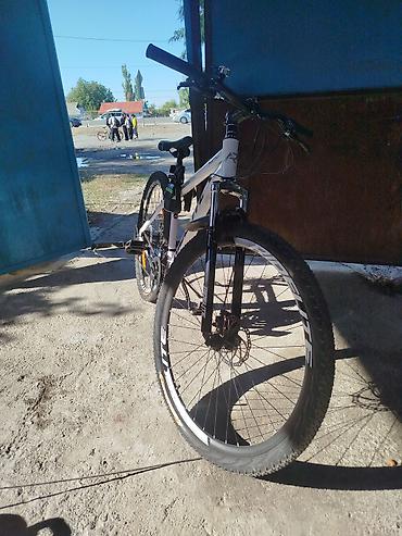 BMX велосипеддери: Тоо велосипеди, Велосипед алкагы XL (180 - 195 см), Алюминий, Жаңы — 2
