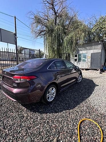 drive: Toyota Levin: 2019 г., 1.8 л, Автомат, Гибрид, Седан — 4