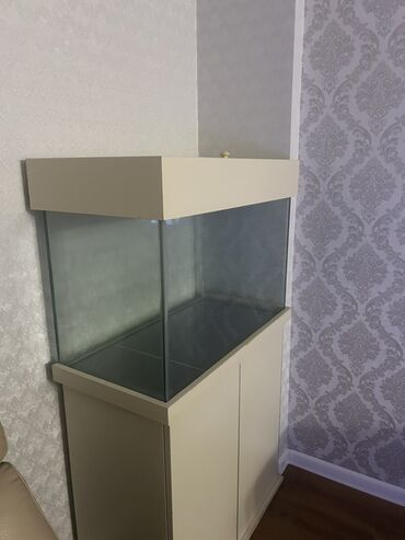 Akvariumlar: Dördbucaq akvarium, Boş, 140 l — 7