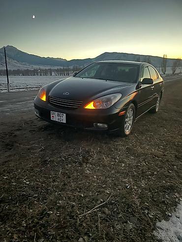 Lexus: Lexus ES: 2004 г., 3.3 л, Автомат, Бензин, Седан — 9
