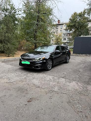 краска оптима: Kia Optima: 2019 г., 2.4 л, Автомат, Бензин, Седан — 1