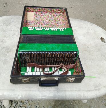 Gitaralar: Yaşıl rəngli, qara zolaqlı akkordeon. İçərisi güllü parçadan işlənmiş