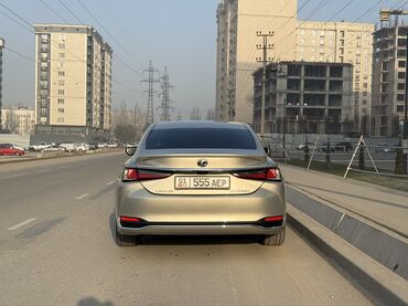 Lexus: Lexus ES: 2019 г., 2.5 л, Гибрид, Седан — 15