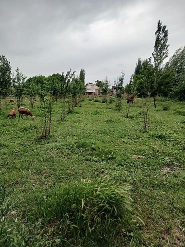 обмен дома: 20 соток — 1