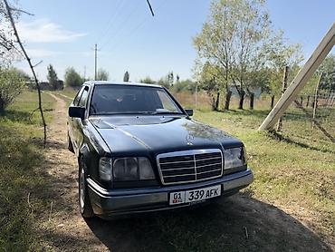 Продажа авто: Mercedes-Benz W124: 1995 г., 2 л, Механика, Дизель, Седан — 2
