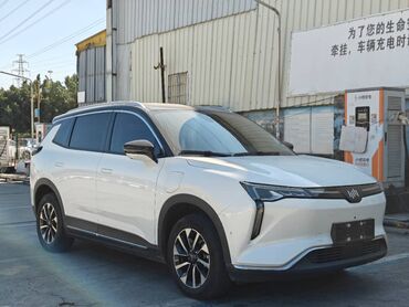 Weltmeister: Weltmeister W6, 2021 г., На заказ — 2