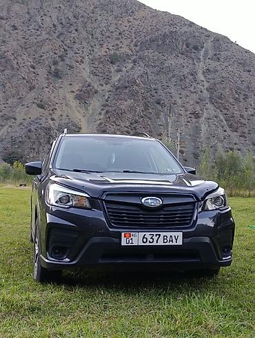 Subaru: Subaru Forester: 2019 г., Кроссовер — 4