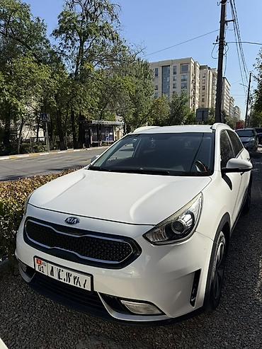 диска черепаха: Kia Niro: 2018 г., 1.6 л, Автомат, Гибрид, Кроссовер — 1