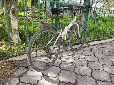 Горные велосипеды: Горный велосипед, Сталь — 4