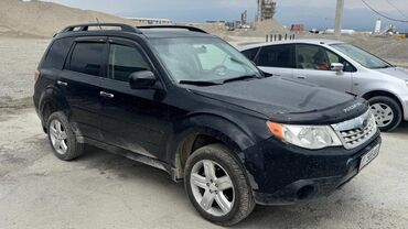 передний бампер опель вектра б: Subaru Forester: 2008 г., 2.5 л, Автоматтык, Бензин, Кроссовер