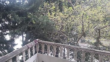 mida evlərin qiyməti: 14-cü məhəllədə, 4 mərtəbəli binanın 3-cü mərtəbəsində 2 otaqlı mənzil — 1