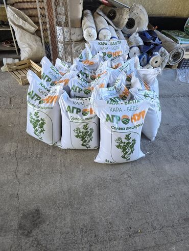 Кормовые растения: Семена кормовых растений: Эспарцет, Самовывоз, Платная доставка — 2