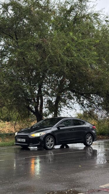 купить машину хендай солярис: Hyundai Elantra: 2017 г., 2 л, Автомат, Бензин, Седан