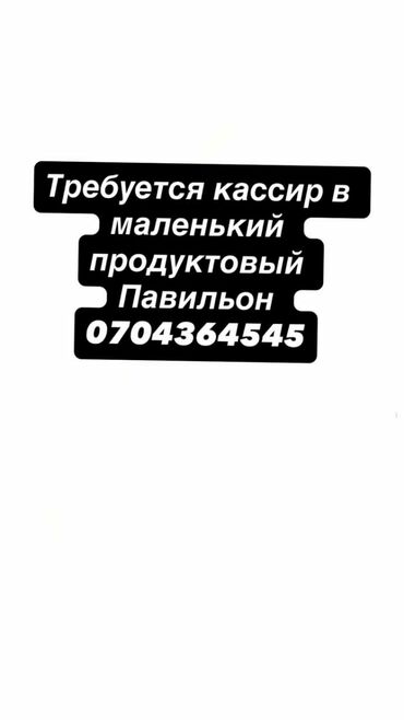 подработка кассиром с ежедневной оплатой: Требуется кассир в маленький продуктовый павильон можно без опыта
