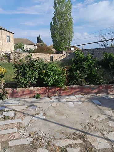 Torpaq sahələrinin satışı: 10 sot, Tikinti, Mülkiyyətçi, Kupça (Çıxarış) — 3