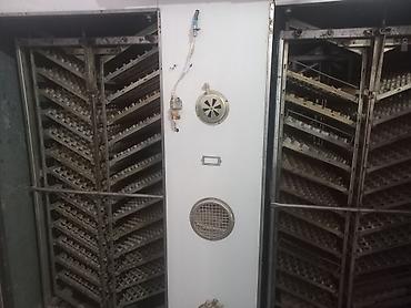 Инкубаторы: Промышленный инкубаторный комплекс для птицеводства. - Камерный — 4