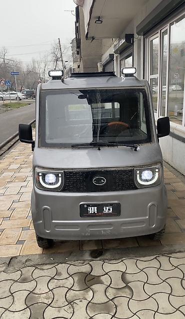 Microcar: Microcar : 2026 г., Электромобиль, Минивэн — 48