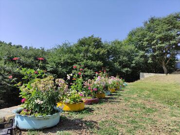 Günlük kirayə evlər: 120 kv. m, 3 otaqlı — 14