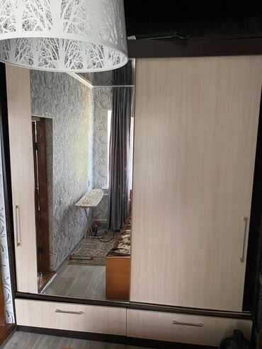 москитная дверь: Купе шкаф, Колдонулган, Күзгүсү менен