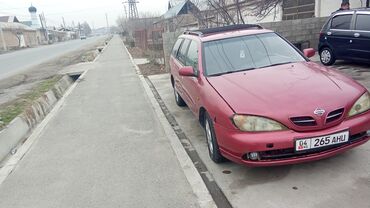 Nissan: Nissan Primera: 2000 г., 2 л, Механика, Газ, Универсал — 11