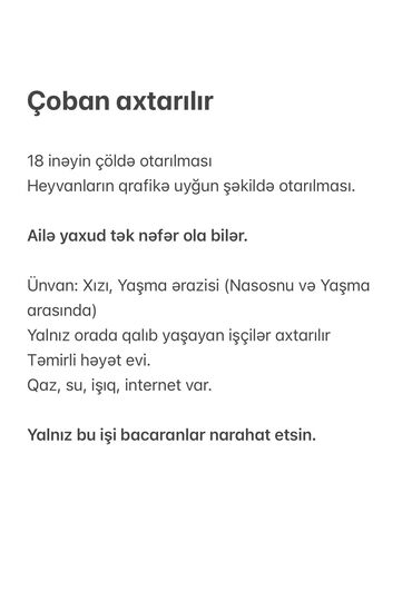 afisant iş elanlari: Çoban axtarılır 18 inəyin çöldə otarılması Heyvanların qrafikə uyğun