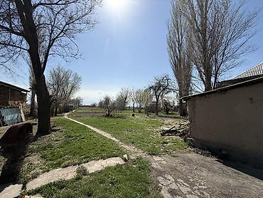 Продажа коттеджей и домов: Продается дом. г.Кара-Балта(в с.Вознесеновка). Дом состоит из — 1