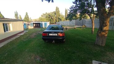 талас ауди: Audi 100: 1991 г., Седан